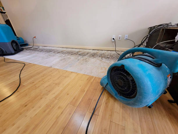 Professional Ceiling Water Damage Repair technician working in Sapulpa, OK
